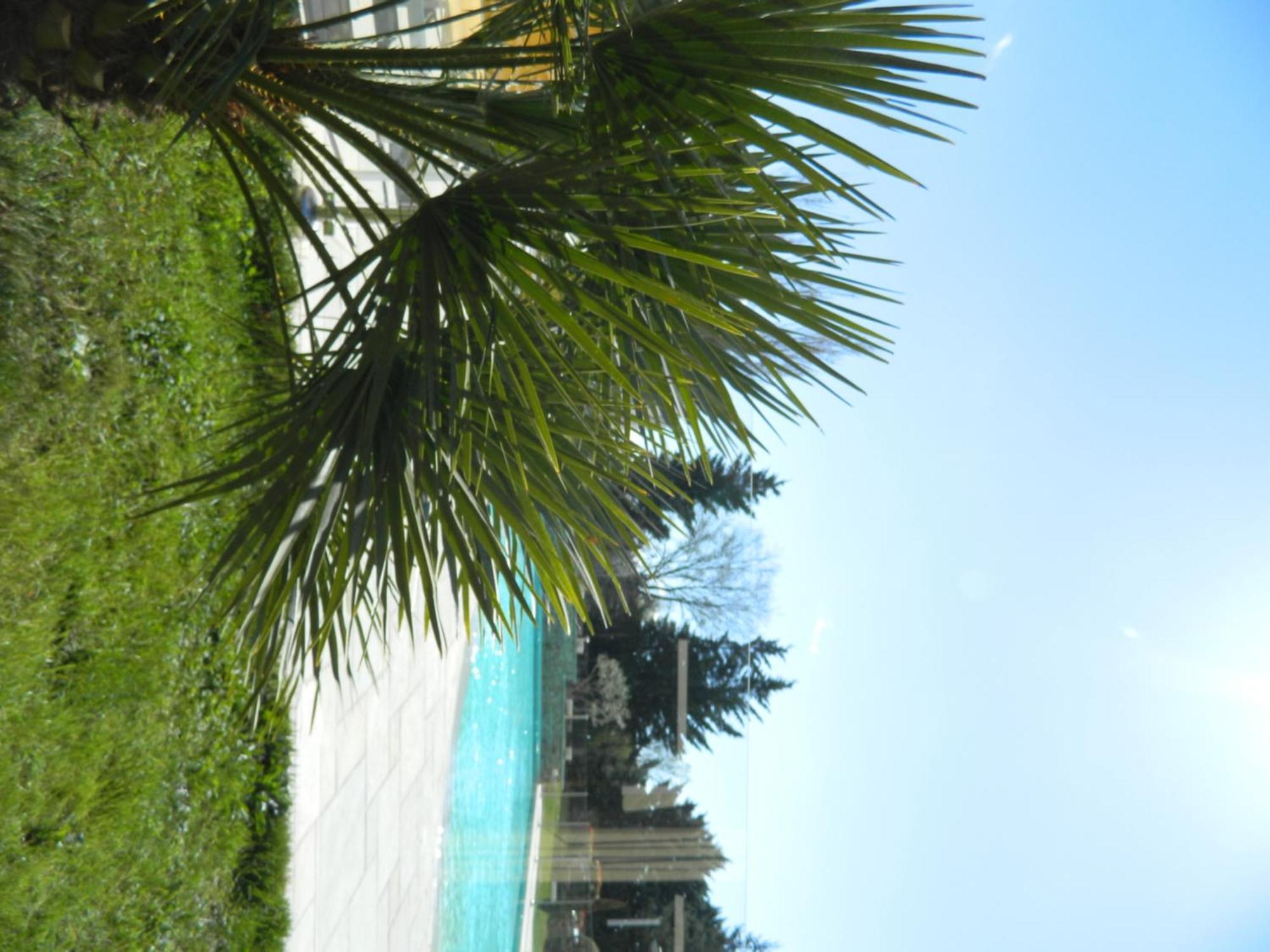 Hotel Restaurant La Martiniere Montelier Exterior photo